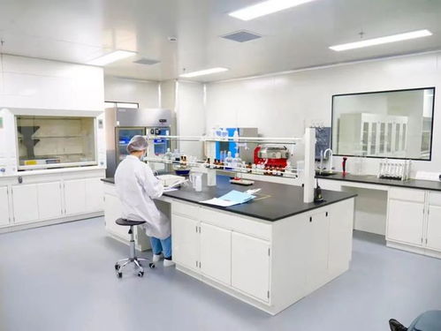 专业见证 品质护航——走进妙可蓝多奶酪工厂，直击品牌硬实力